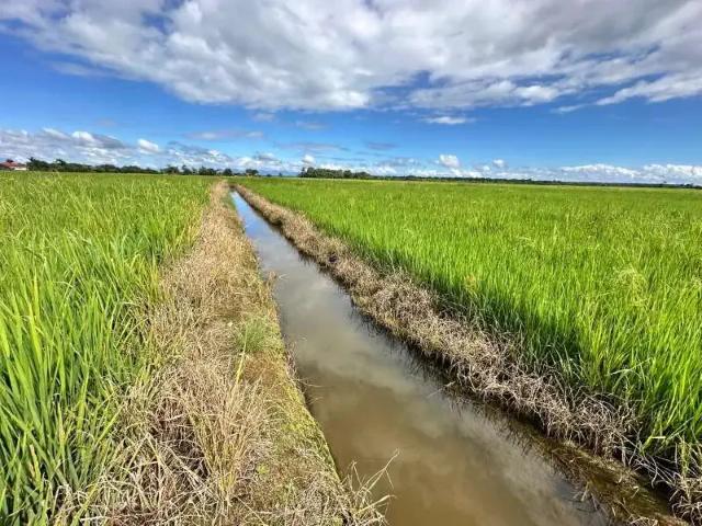 Sítio e chácara venda em Região Geográfica Imediata de Joinville, Araquari