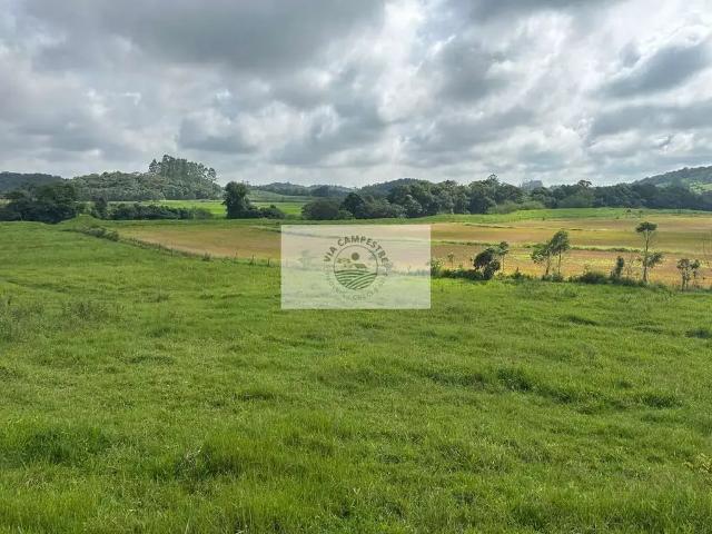 Sítio e chácara venda em Região Geográfica Imediata de Joinville, Araquari