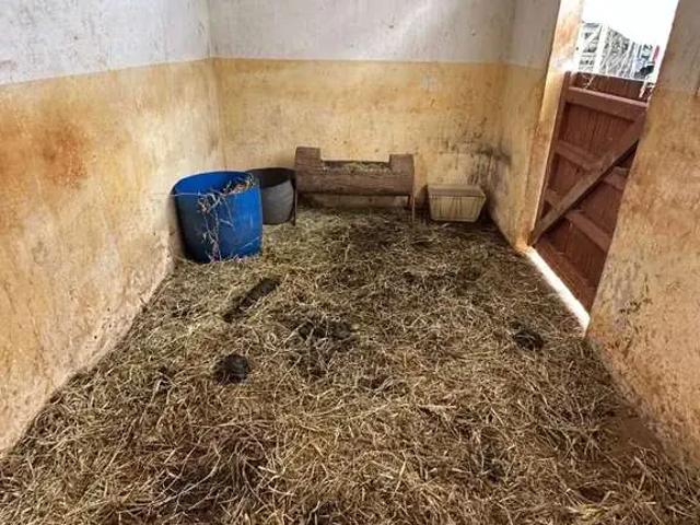 Sítio e chácara venda em Região Imediata de Araraquara, Araraquara