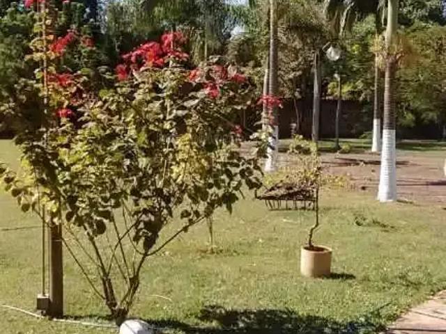 Sítio e chácara venda em Região Imediata de Araraquara, Araraquara