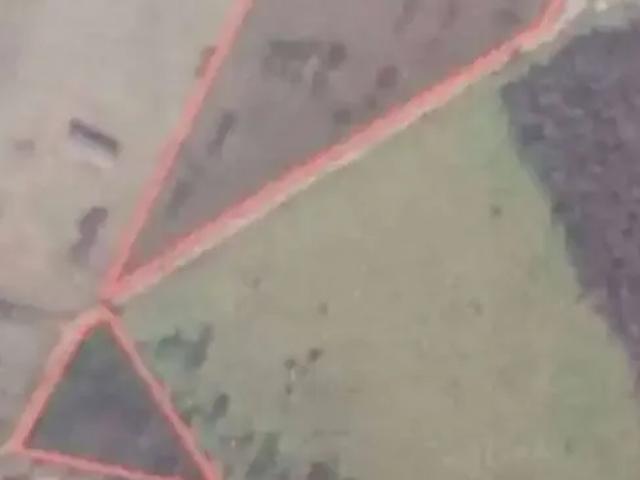 Sítio e chácara venda em Região Imediata de Araraquara, Araraquara