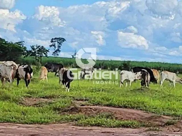 Sítio e chácara venda em Região Imediata de Araraquara, Araraquara