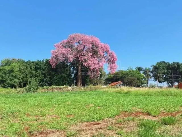 Sítio e chácara venda em Região Imediata de Araraquara, Araraquara