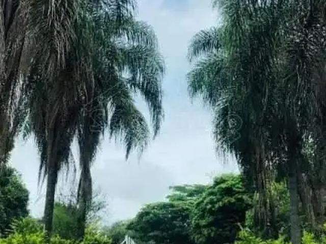 Sítio e chácara venda em Região Imediata de Araraquara, Araraquara
