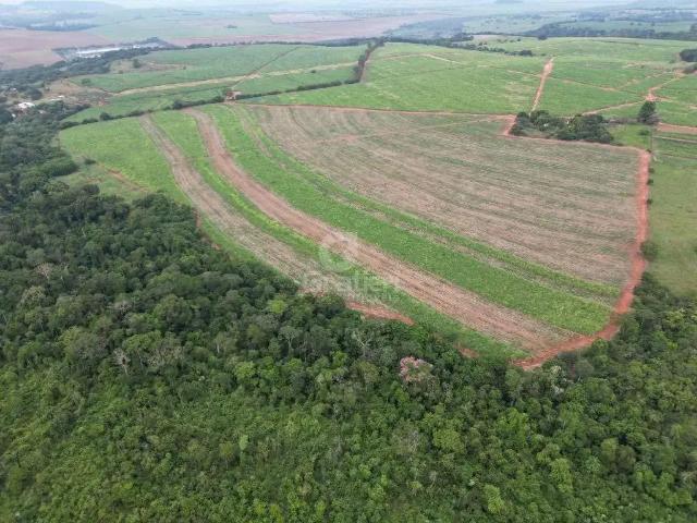 Sítio e chácara venda em Região Imediata de Araraquara, Araraquara