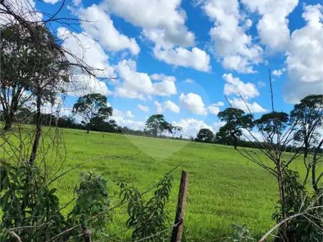 Sítio e chácara venda em Região Imediata de Araraquara, Araraquara