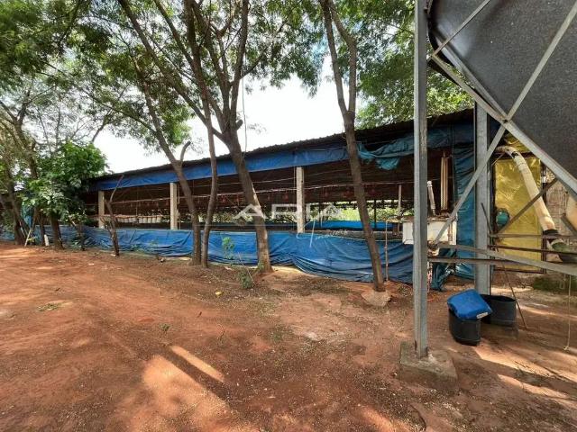 Sítio e chácara venda em Região Imediata de Araraquara, Araraquara