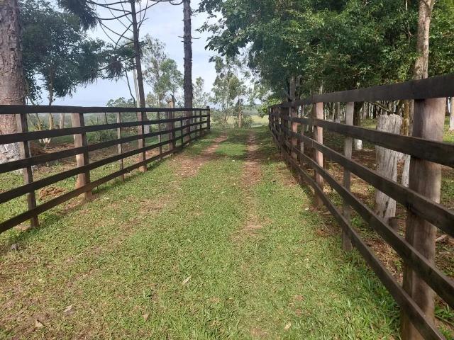 Sítio e chácara venda em Araricá