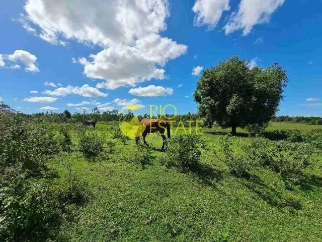 Sítio e chácara venda em Região Geográfica Imediata de Janaúba, Jaíba