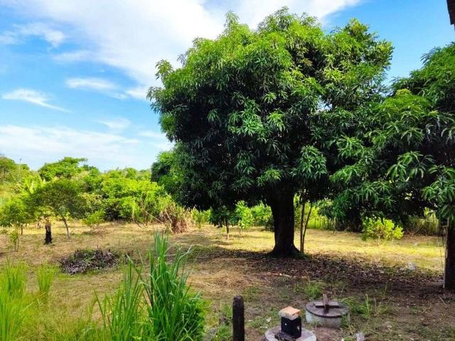 Sítio e chácara venda em Araruama