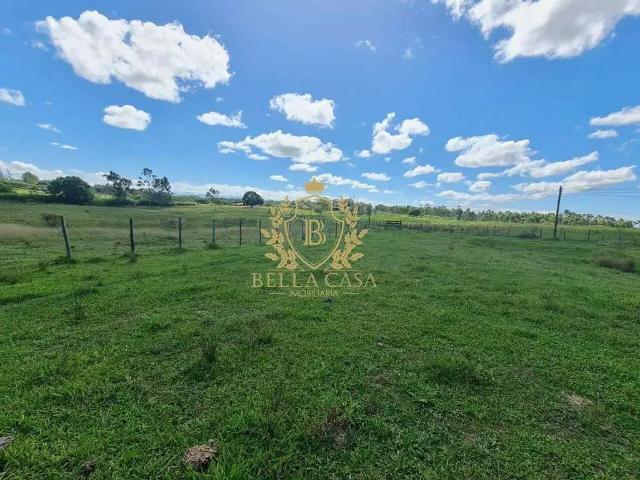 Sítio e chácara venda em São Vicente de Paula, Araruama