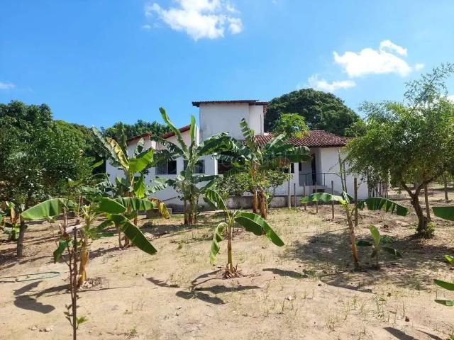 Sítio e chácara venda em Região Geográfica Imediata de Cabo Frio, Araruama