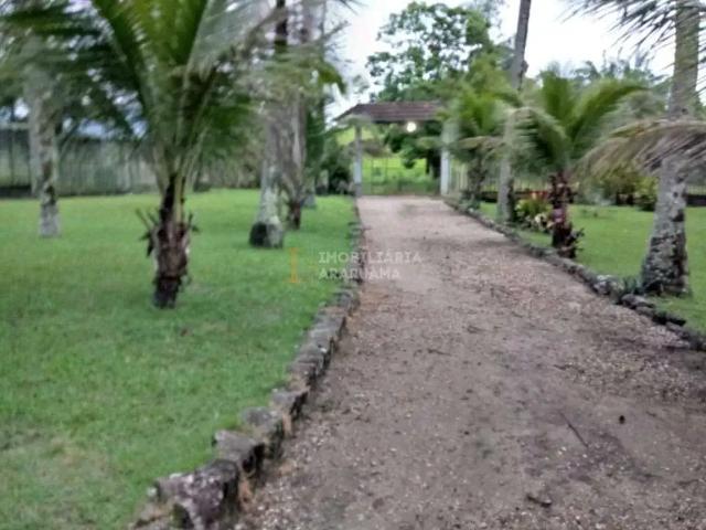 Sítio e chácara venda em São Vicente de Paula, Araruama