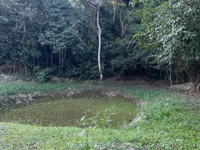 Sítio e chácara venda em Araruama, Região Geográfica Intermediária de Macaé-Rio das Ostras-Cabo Frio