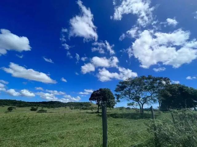 Sítio e chácara venda em Região Geográfica Imediata de Cabo Frio, Araruama
