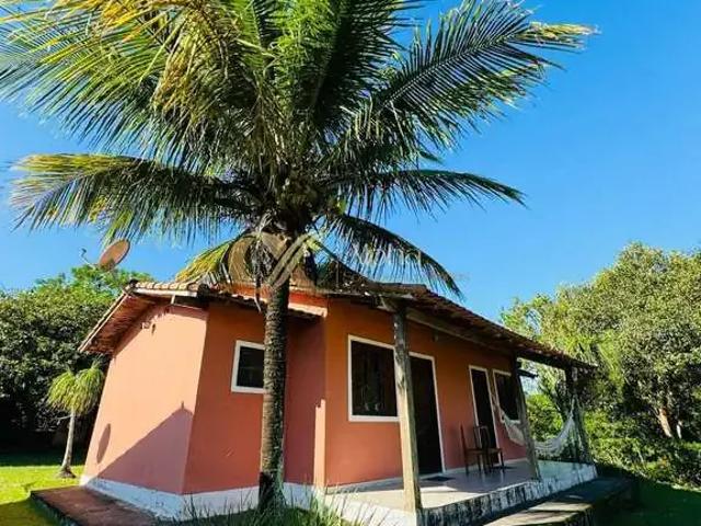 Sítio e chácara venda em São Vicente de Paula, Araruama