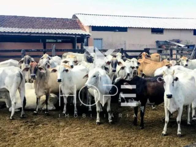 Sítio e chácara venda em Região Geográfica Imediata de Cabo Frio, Araruama