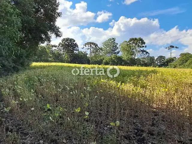Sítio e chácara venda em Região Geográfica Imediata de Curitiba, Região Metropolitana de Curitiba