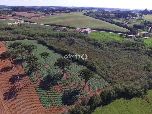 Sítio e chácara venda em Região Geográfica Imediata de Curitiba, Região Metropolitana de Curitiba