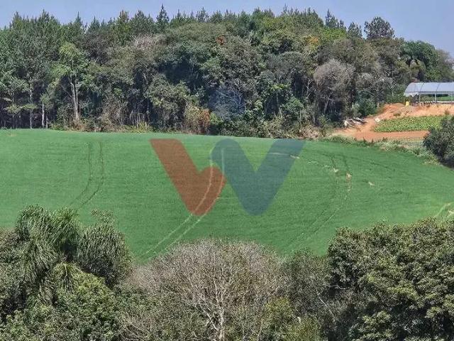 Sítio e chácara venda em Região Geográfica Imediata de Curitiba, Região Metropolitana de Curitiba