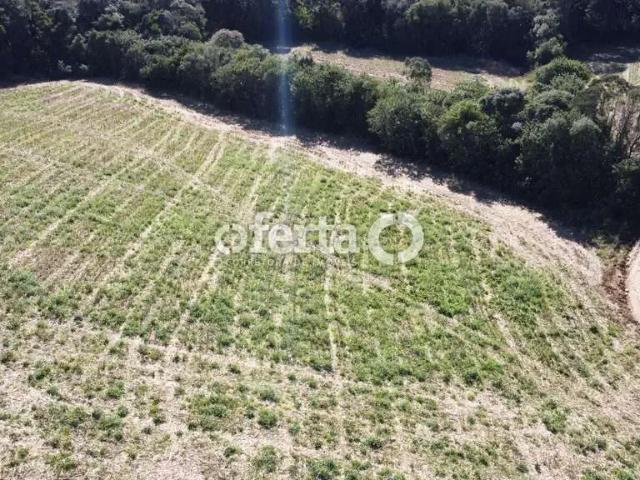 Sítio e chácara venda em Região Geográfica Imediata de Curitiba, Região Metropolitana de Curitiba