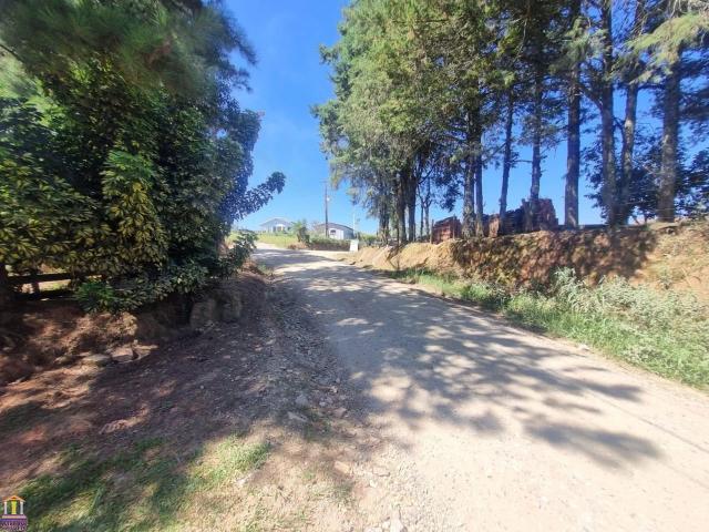 Sítio e chácara venda em Araucária, Região Geográfica Intermediária de Curitiba