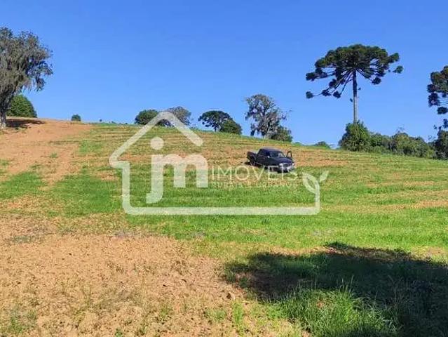 Sítio e chácara venda em Região Geográfica Imediata de Curitiba, Região Metropolitana de Curitiba