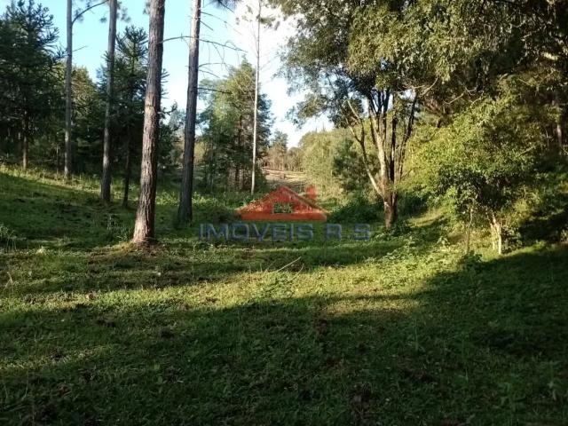 Sítio e chácara venda em Região Geográfica Imediata de Curitiba, Região Metropolitana de Curitiba