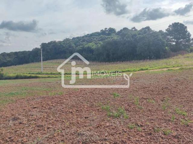 Sítio e chácara venda em Região Geográfica Imediata de Curitiba, Região Metropolitana de Curitiba