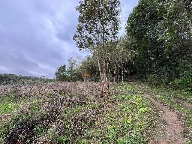 Sítio e chácara venda em Região Geográfica Imediata de Curitiba, Região Metropolitana de Curitiba