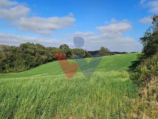 Sítio e chácara venda em Região Geográfica Imediata de Curitiba, Região Metropolitana de Curitiba