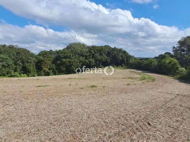 Sítio e chácara venda em Região Geográfica Imediata de Curitiba, Região Metropolitana de Curitiba
