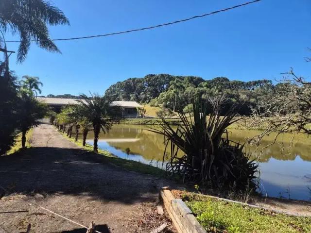 Sítio e chácara venda em Região Geográfica Imediata de Curitiba, Região Metropolitana de Curitiba