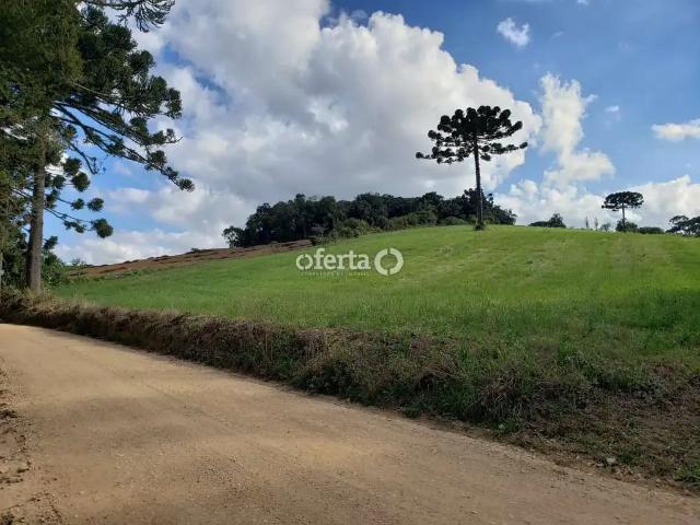 Sítio e chácara venda em Região Geográfica Imediata de Curitiba, Região Metropolitana de Curitiba