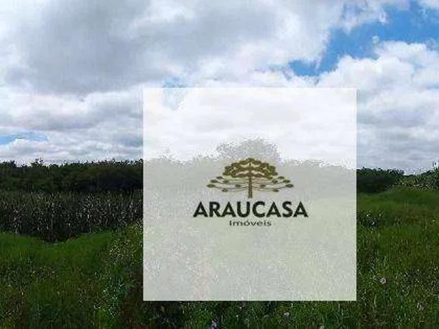Sítio e chácara venda em Região Geográfica Imediata de Curitiba, Região Metropolitana de Curitiba