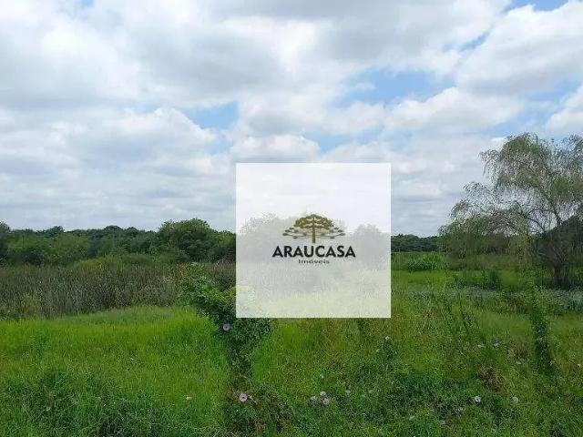 Sítio e chácara venda em Região Geográfica Imediata de Curitiba, Região Metropolitana de Curitiba