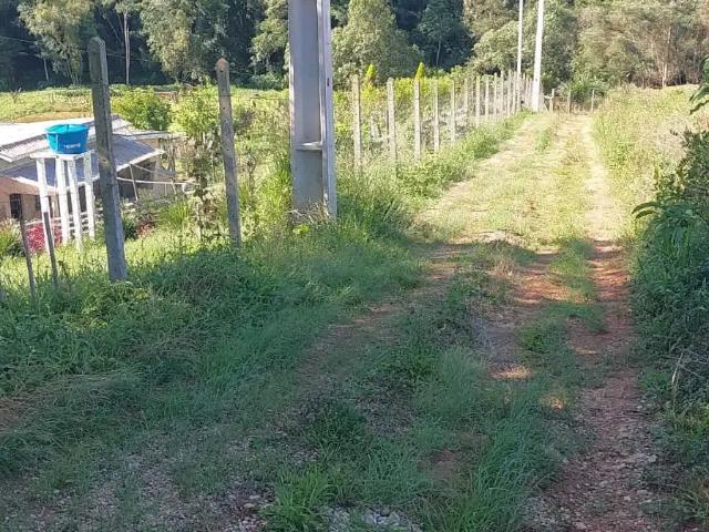 Sítio e chácara venda em Região Geográfica Imediata de Curitiba, Região Metropolitana de Curitiba