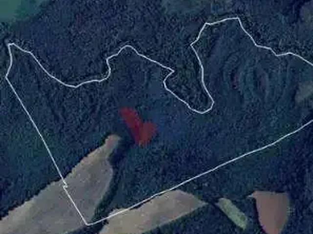 Sítio e chácara venda em Região Geográfica Imediata de Curitiba, Região Metropolitana de Curitiba