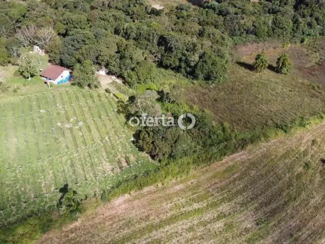 Sítio e chácara venda em Região Geográfica Imediata de Curitiba, Região Metropolitana de Curitiba
