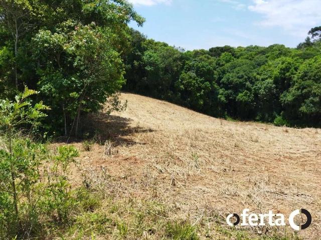 Sítio e chácara venda em Araucária, Região Geográfica Intermediária de Curitiba