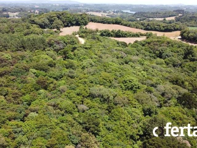 Sítio e chácara venda em Região Geográfica Imediata de Curitiba, Região Metropolitana de Curitiba