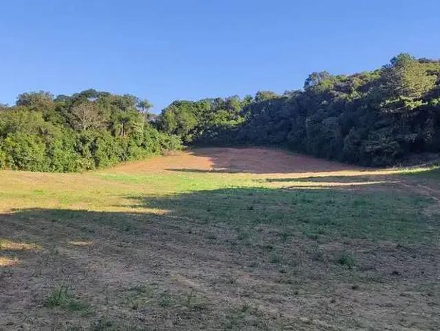 Sítio e chácara venda em Região Geográfica Imediata de Curitiba, Região Metropolitana de Curitiba