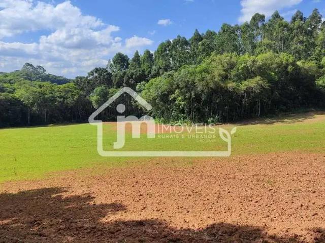 Sítio e chácara venda em Região Geográfica Imediata de Curitiba, Região Metropolitana de Curitiba