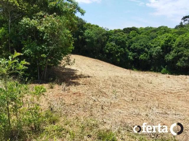 Sítio e chácara venda em Região Geográfica Imediata de Curitiba, Região Metropolitana de Curitiba