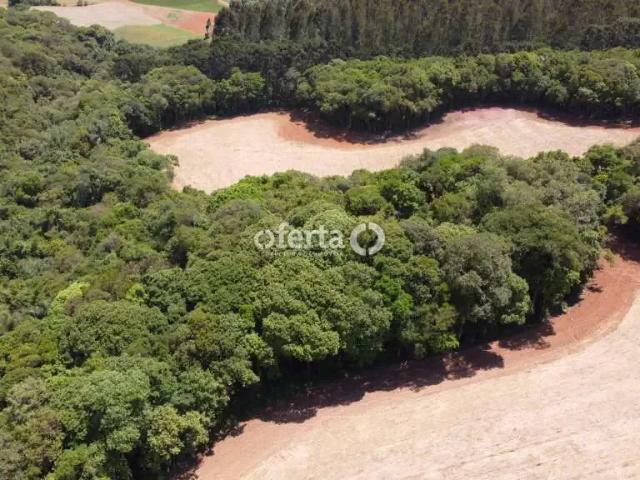 Sítio e chácara venda em Região Geográfica Imediata de Curitiba, Região Metropolitana de Curitiba