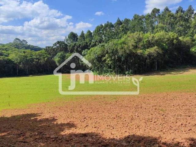 Sítio e chácara venda em Região Geográfica Imediata de Curitiba, Região Metropolitana de Curitiba