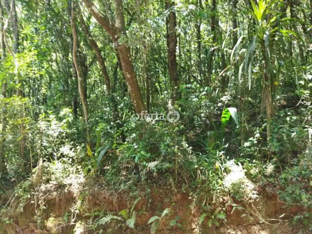 Sítio e chácara venda em Região Geográfica Imediata de Curitiba, Região Metropolitana de Curitiba