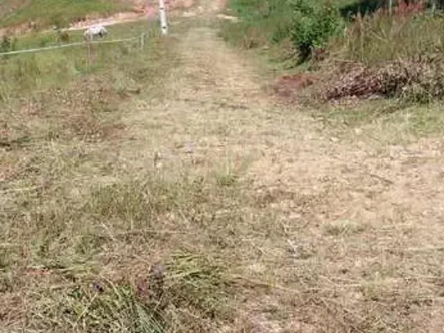 Sítio e chácara venda em Região Geográfica Imediata de Apucarana, Apucarana