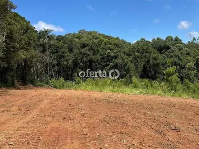 Sítio e chácara venda em Região Geográfica Imediata de Curitiba, Região Metropolitana de Curitiba