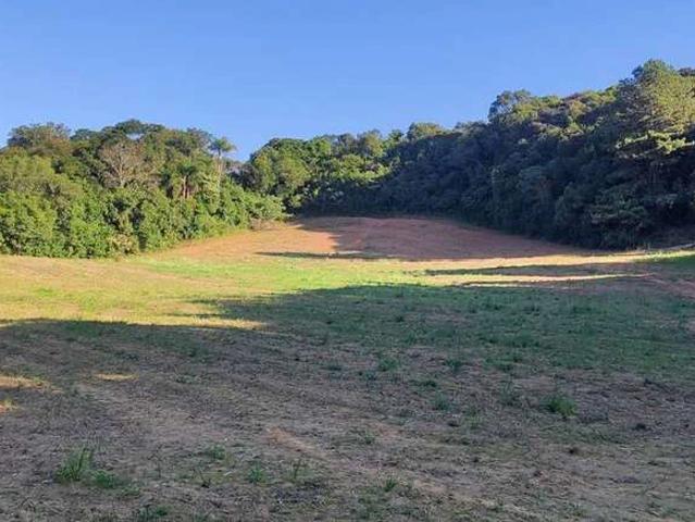 Sítio e chácara venda em Região Geográfica Imediata de Curitiba, Região Metropolitana de Curitiba